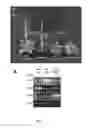 Fig. 22 - Polynucleotides and Polypeptides in Plants