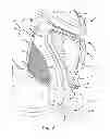 Fig. 03 - Protective glove having an arched panel