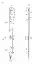 Fig. 02 - Boot band