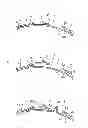 Fig. 07 - Boot band