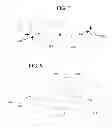 Fig. 13 - Coordinate measurement machine with distance meter used to establish frame of reference