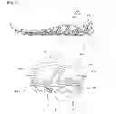 Fig. 07 - LIGHTWEIGHT SHOE SOLE HAVING STRUCTURE DISPLAYING SHOCK ABSORPTION AND REBOUND ELASTICITY