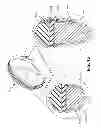 Fig. 13 - Protective member for an article of footwear
