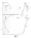 Fig. 06 - Hockey skate
