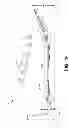 Fig. 07 - Cleated footwear
