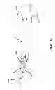 Fig. 09 - Cleated footwear