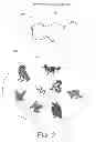 Fig. 03 - Effigy and repellent
