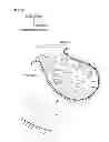 Fig. 04 - METHOD FOR PRODUCING BIODIESEL