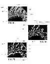 Fig. 06 - Bonded abrasive article and method of forming