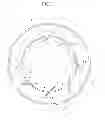 Fig. 05 - Combustor and rotating machine