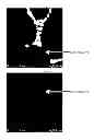 Fig. 07 - Magnesium-based alloy produced using a silicon compound and method for producing same