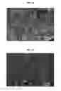 Fig. 02 - Rapid setting high strength calcium phosphate cements comprising cyclodextrins