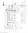 Fig. 05 - Transmission for a vehicle