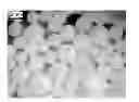 Fig. 01 - Encapsulation of high temperature molten salts