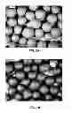 Fig. 09 - Encapsulation of high temperature molten salts