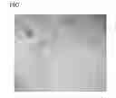 Fig. 02 - Copper alloy sheet and method for manufacturing copper alloy sheet