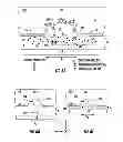 Fig. 06 - METHOD AND SYSTEM FOR ION-ASSISTED PROCESSING