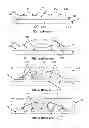 Fig. 02 - Lead frame and a method of fabrication thereof