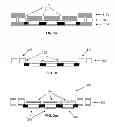 Fig. 06 - Lead frame and a method of fabrication thereof