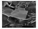 Fig. 01 - Conductive composition and conductive film