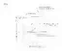 Fig. 02 - Conductive composition and conductive film