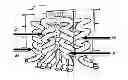 Fig. 01 - RAPID ESCAPE EXIT FOR HIGH BUILDING