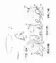 Fig. 21 - System and method including laboratory product transport element