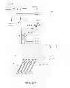 Fig. 06 - Automated size selection of nucleic acids
