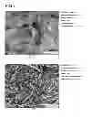 Fig. 07 - Copper alloy composite and method for manufacturing same