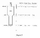 Fig. 08 - ULTRASONIC PRODUCED WATER DISPERSION DEVICE, SYSTEM AND METHOD