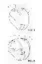 Fig. 02 - DISPENSER WITH A LOCK