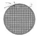 Fig. 01 - Method of Observing Samples with a Fluorescent Microscope