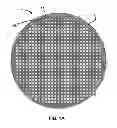 Fig. 02 - Method of Observing Samples with a Fluorescent Microscope