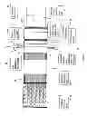 Fig. 02 - FENCE APPARATUS AND RELATED METHODS