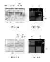 Fig. 06 - SEMICONDUCTOR LIGHT EMITTING DEVICE AND METHOD FOR MANUFACTURING SAME