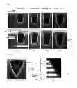 Fig. 05 - SiC semiconductor element and manufacturing method thereof