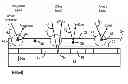 Fig. 01 - Yellow phosphor layer containing colored beads for adjusting its perceived off-state color