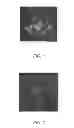 Fig. 06 - Article including a light emitting gadolinium-containing material and a process of forming the same