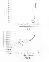 Fig. 07 - ADHESION LAYER AND MULTIPHASE ULTRA-LOW k DIELECTRIC MATERIAL