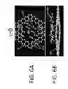 Fig. 07 - Method of forming graphene nanomesh