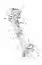 Fig. 02 - Steerable twist-beam rear suspension