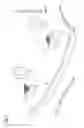 Fig. 02 - Shock absorbing member