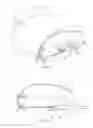 Fig. 08 - Thin seat flex rest composite cushion extension