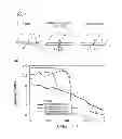 Fig. 07 - Light emitting device and light sheet