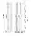 Fig. 08 - Electronic ballast-compatible lighting driver for light-emitting diode lamp