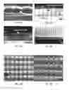 Fig. 09 - Nanochip based surface plasmon resonance sensing devices and techniques