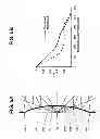 Fig. 06 - Optical system with catadioptric optical subsystem