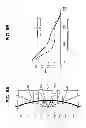 Fig. 07 - Optical system with catadioptric optical subsystem