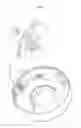 Fig. 06 - ILLUMINATION LIGHT SOURCE AND LIGHTING APPARATUS