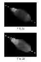 Fig. 07 - Transforming A-scan data samples into a three-dimensional space for facilitating visualization of flaws